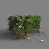 153 hedge v3