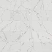 TilesMarbleStatuarioHoned001