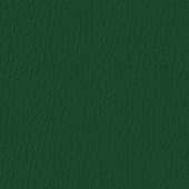 green  leather 3