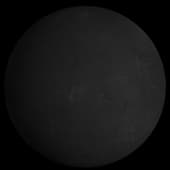 BLACK WALL BLEND