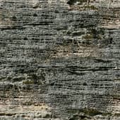 rough  cliff wall
