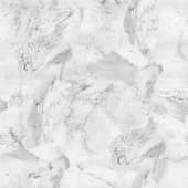 Fingerprint (4)