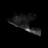 Finger_Print_09