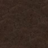 brown  leather 25