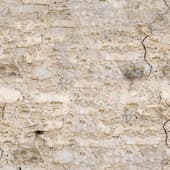 rough  wall