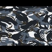 Camouflage_09