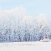 Фон 9