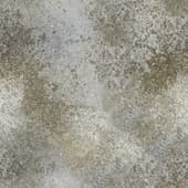 grey concrete with moss 2