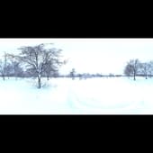 snowy_park_01_4k