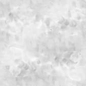 Fingerprint (1)