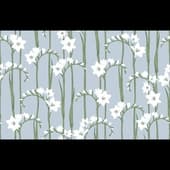 Origins collection ALS2 Gladiolus ALS2 008