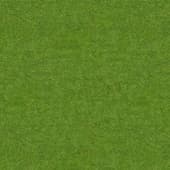 Grass_03