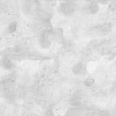 Fingerprint (6)
