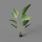 Искусственное растение Style Strelitzia Green 150 cm