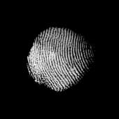 Finger_Print_50
