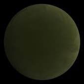 Scott_80_2_31