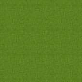 Grass_01