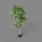 Искусственное дерево Celeste Ficus Benjamina 180 cm