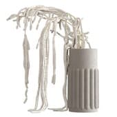 Plant859