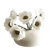 Plant838
