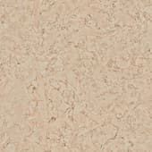 Marble 009
