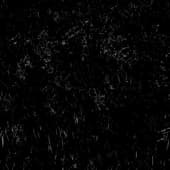 Scratches_13