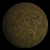 GroundGrassGreenPatchy003 4K