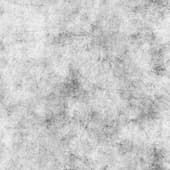 Scratches (10)