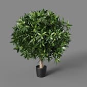 Искусственное растение Laurel Ball Tree 60 cm