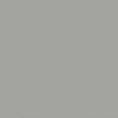 Bricks PaintedGrey0 01