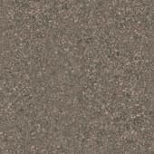 Ground RiverShore0 01