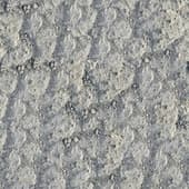 rough concrete 5