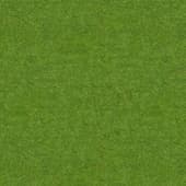 Grass_02