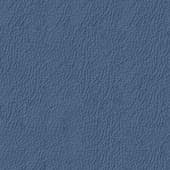blue  leather 2