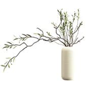 Plant425