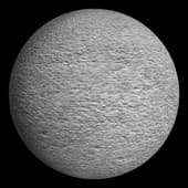 Concrete White 01 100cm