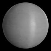 Wall_Plaster_gray