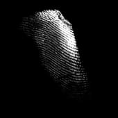 Finger_Print_15