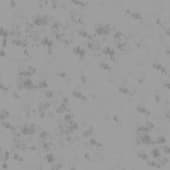 snow  covering grass 7