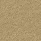 beige  leather 5
