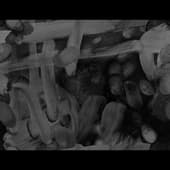 Fingerprints_13