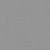 snow  closeup 1