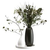 plant459