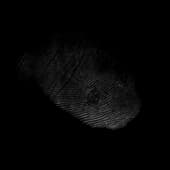 Finger_Print_21