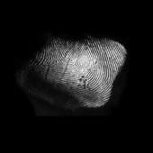 Finger_Print_29