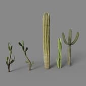 mod cactusy