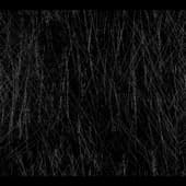 Scratches_17