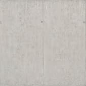 Concrete  027