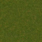 Ground GrassGreen0 03