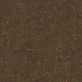 Ground DirtForest010
